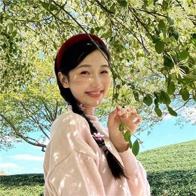 我的猪队友